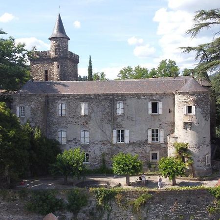 Le Chateau De Cambiaire Saint-Etienne-Vallee-Francaise 外观 照片