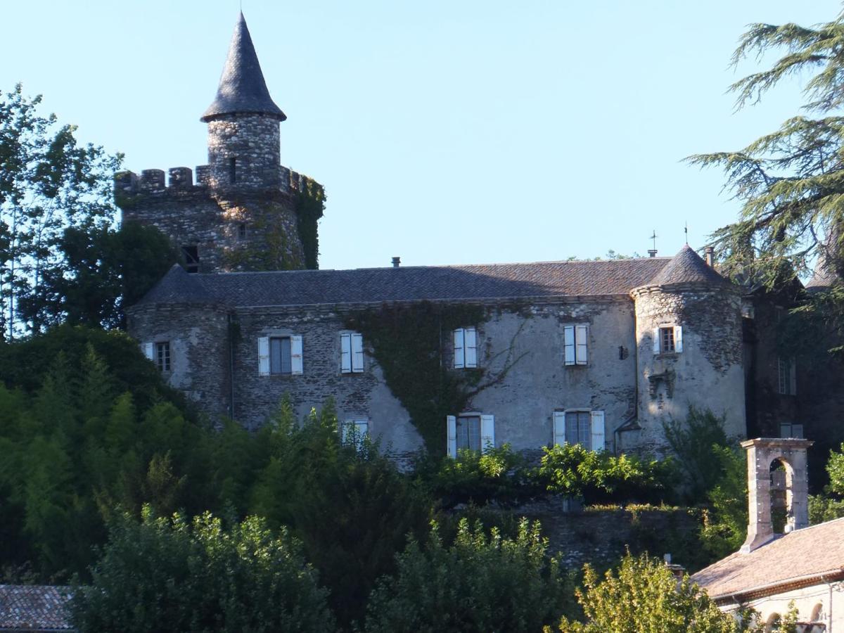 Le Chateau De Cambiaire Saint-Etienne-Vallee-Francaise 外观 照片